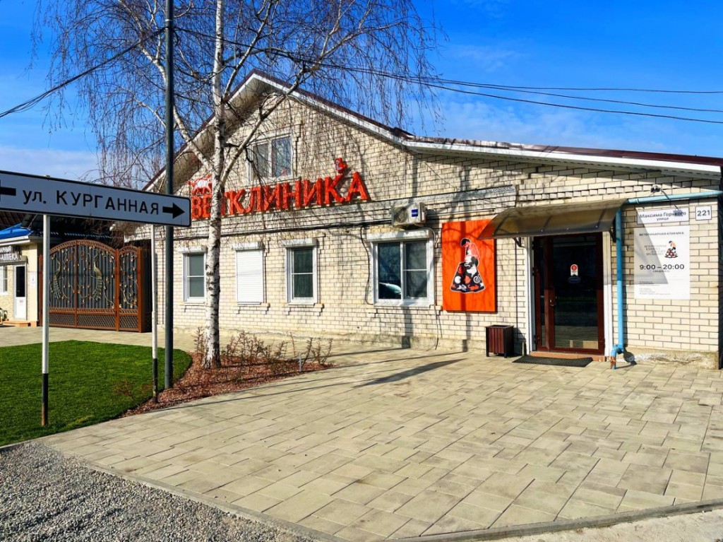 Фасад клиники на улице Горького, 221